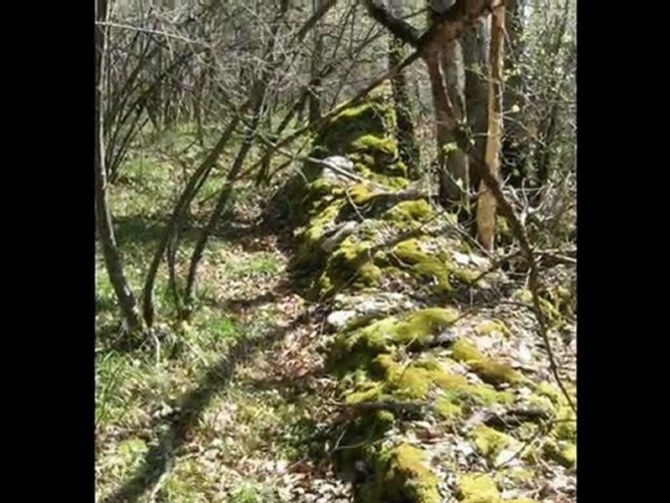 4 saisons - 01 Printemps