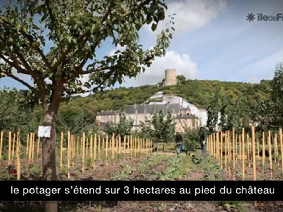 La Roche-Guyon