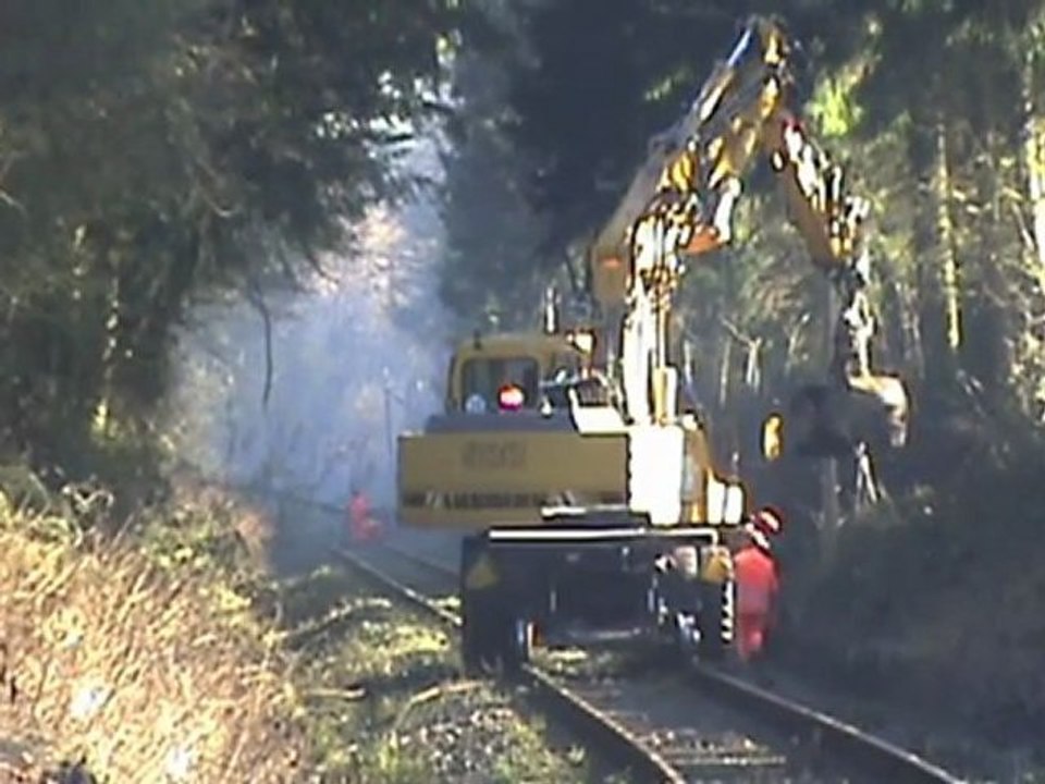 Aufräumungsarbeiten Eifelquerbahn nach Orkan Xynthia Teil 003