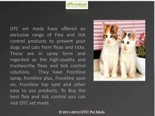 Flea And Tick Control For Cats