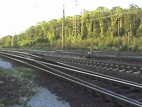 TX Logistik BR189, BR151, 4x BR185, BR294 Rbf Köln - Gremberg