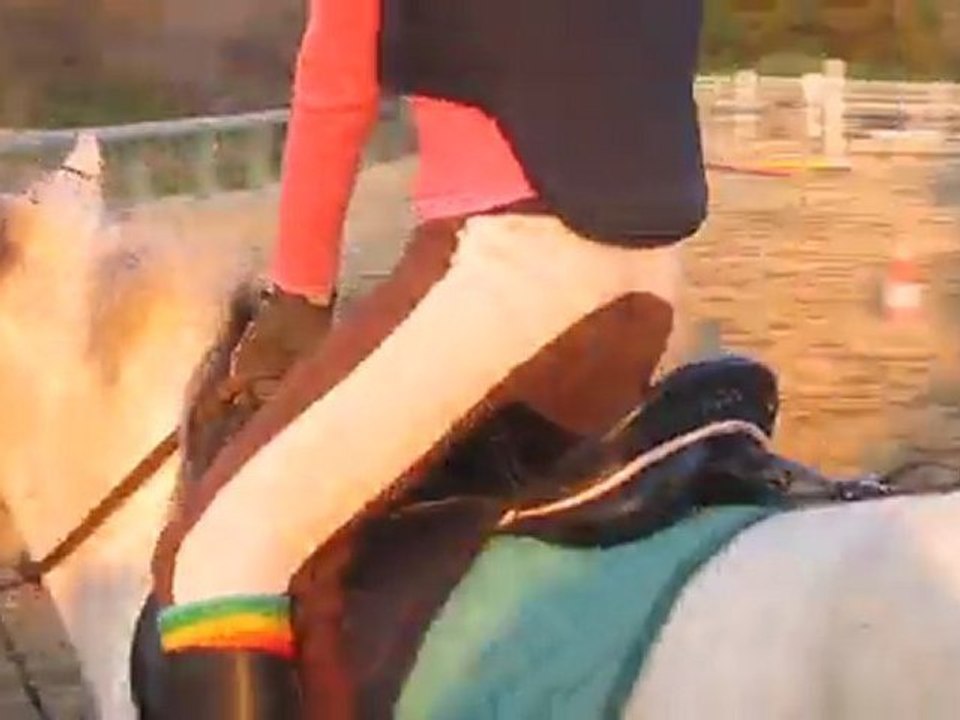 Jeudi6mars2012 , Moi sur Rigolo'oh au trot !!