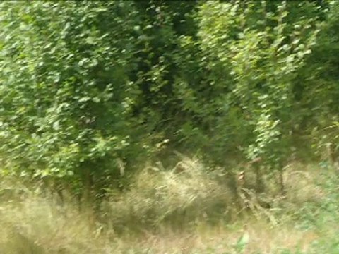 KAYAALTI KÖYÜ (2) feyzullah gözütok kun kamarasından