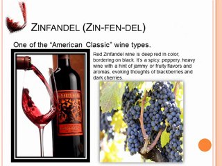 Top 7 Red Wine Types
