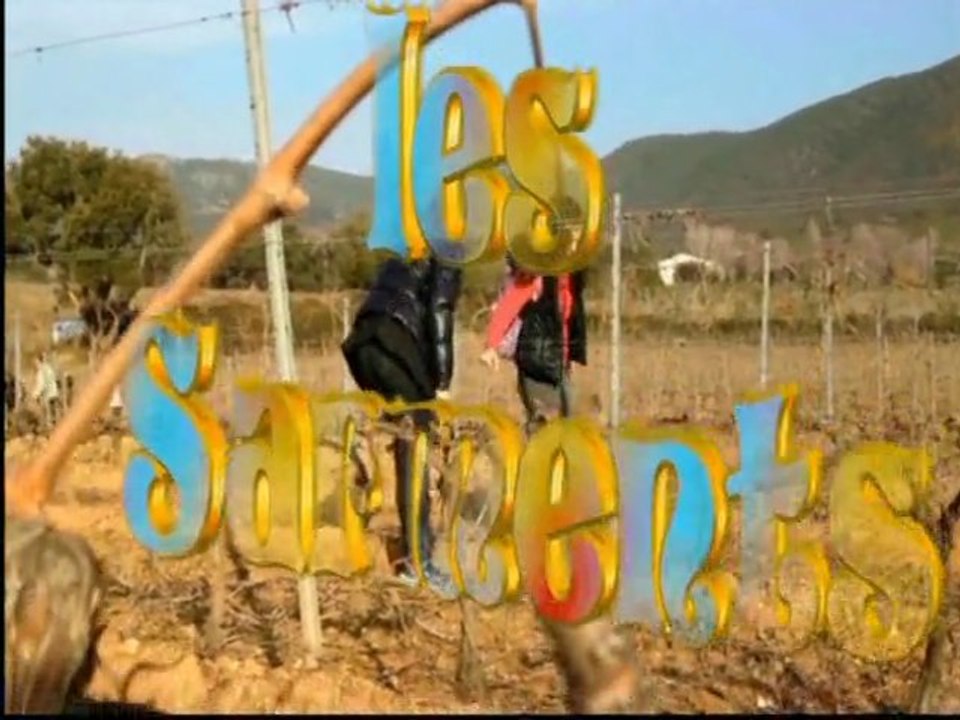 LES SARMENT A PATRIMONIO , FINAL 2012, AU DOMAINE LAZZARINI