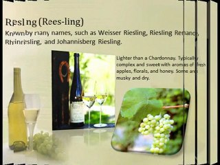 Top 7 White Wine Types