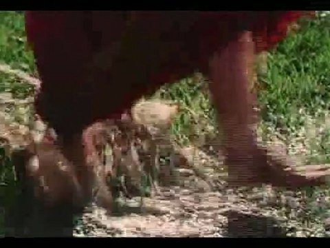 Poongaatre Nee Ennai Thodalaama HQ...PAKEE Creation