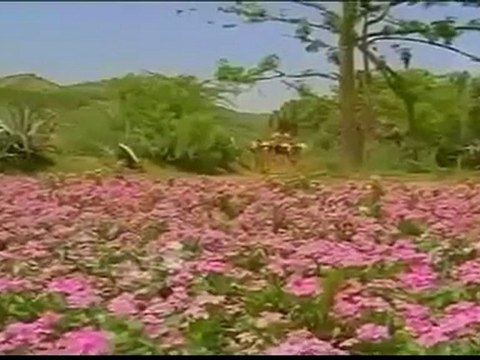 Paattu Unna Izhukkuthaa HQ...PAKEE Creation