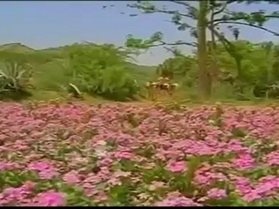 Paattu Unna Izhukkuthaa HQ...PAKEE Creation