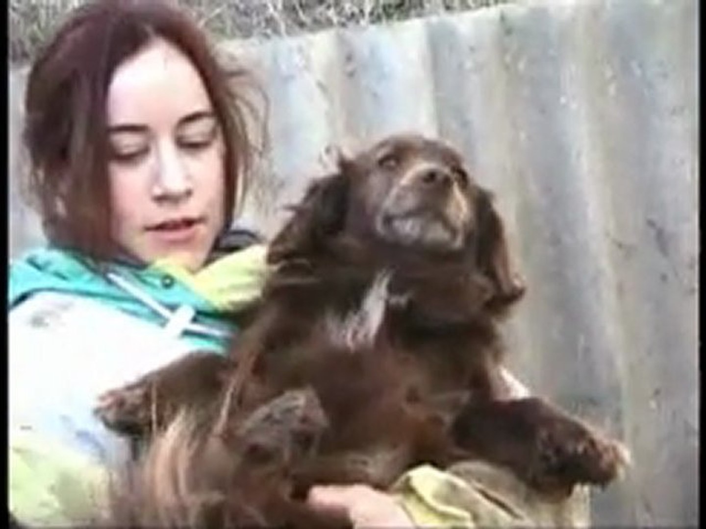 Becej Shelter documentary