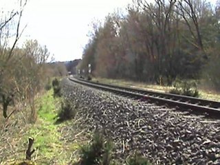 Zweimal BR644 und 2x BR628 Eifelstrecke bei Oberbettingen