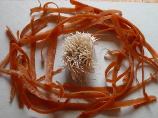 soupe poireau carottes