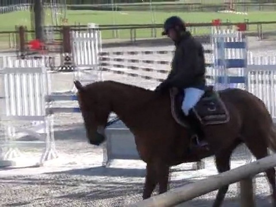 Bertrand Poisson-Rapsodie des Ajoncs/Fontainebleau 09 Mars 2012