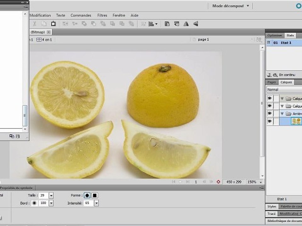 Fireworks CS5 : Outils bitmap avancés