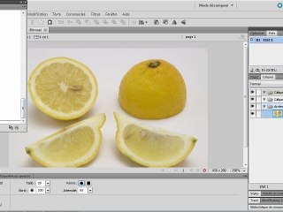 Fireworks CS5 : Outils bitmap avancés