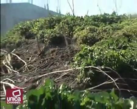 Emergenza Rifiuti Napoli_ fumi tossici si alzano da una disc