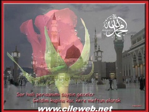 Hasan GURSAN GÜL TANEM