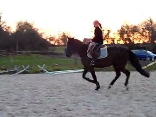 Toscane galop à gauche