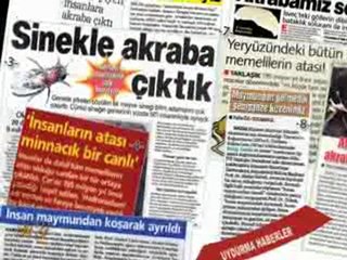 evrim paneli cevap 1