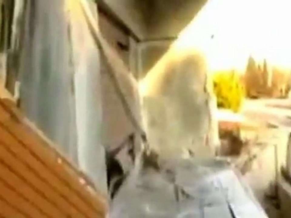 Video purportedly shows Syrian mosque shelling aftermath