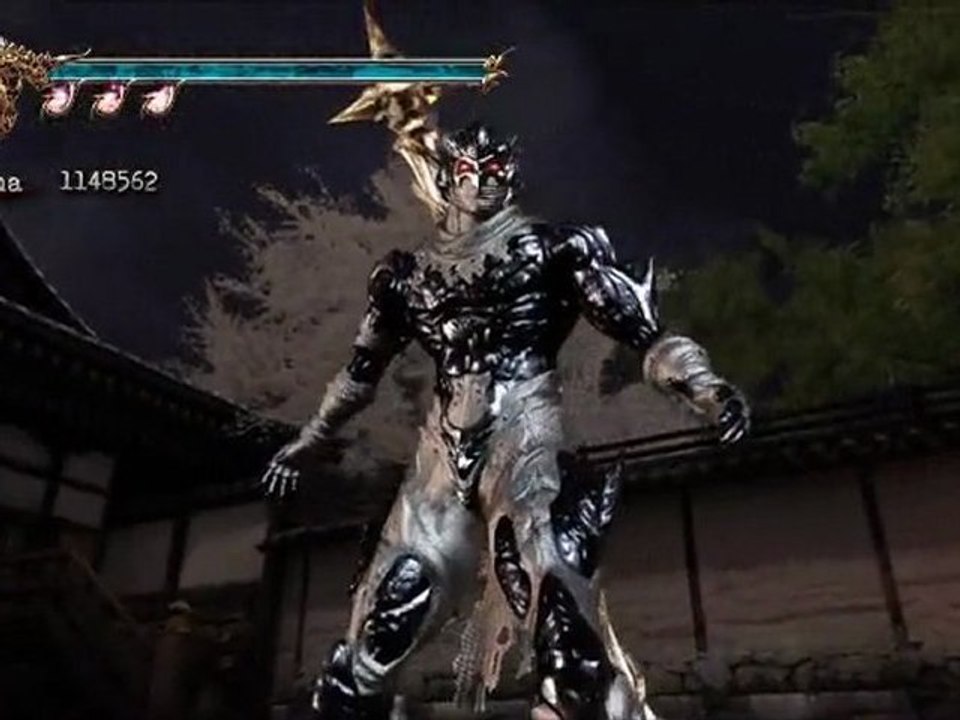 Ninja gaiden 2 walkthrough 4