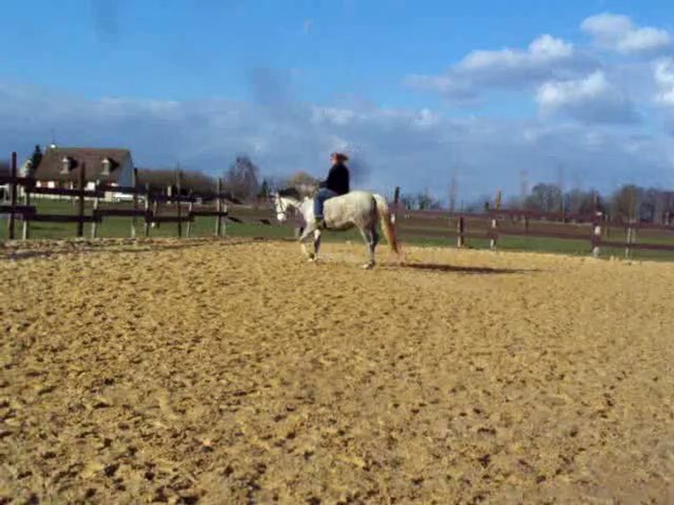 Test trot espagnol
