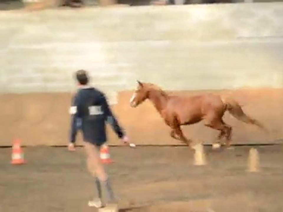 Vespa Mad par Paolik Kersidal 3 ans saut en liberté oxer