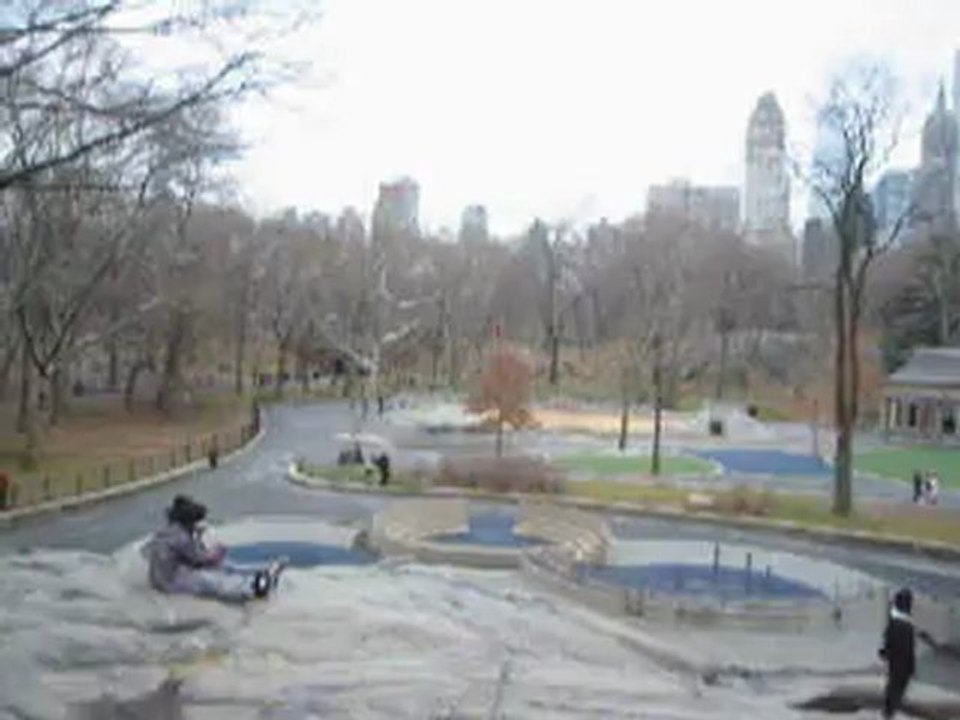 Panorama dans Central Park