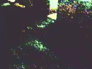 El Salvador's Progress in 2023 🇸🇻