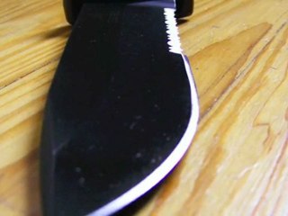 Gerber LMF II Review