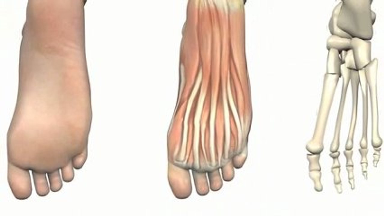 Podiatrist Charlestown Charlestown Podiatry Clinic NSW