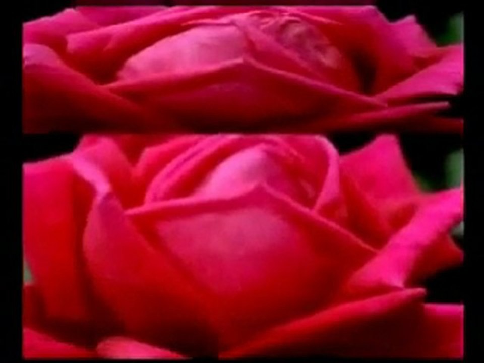 GRUPA 220 - Ljubav je kao cvijet (1967)