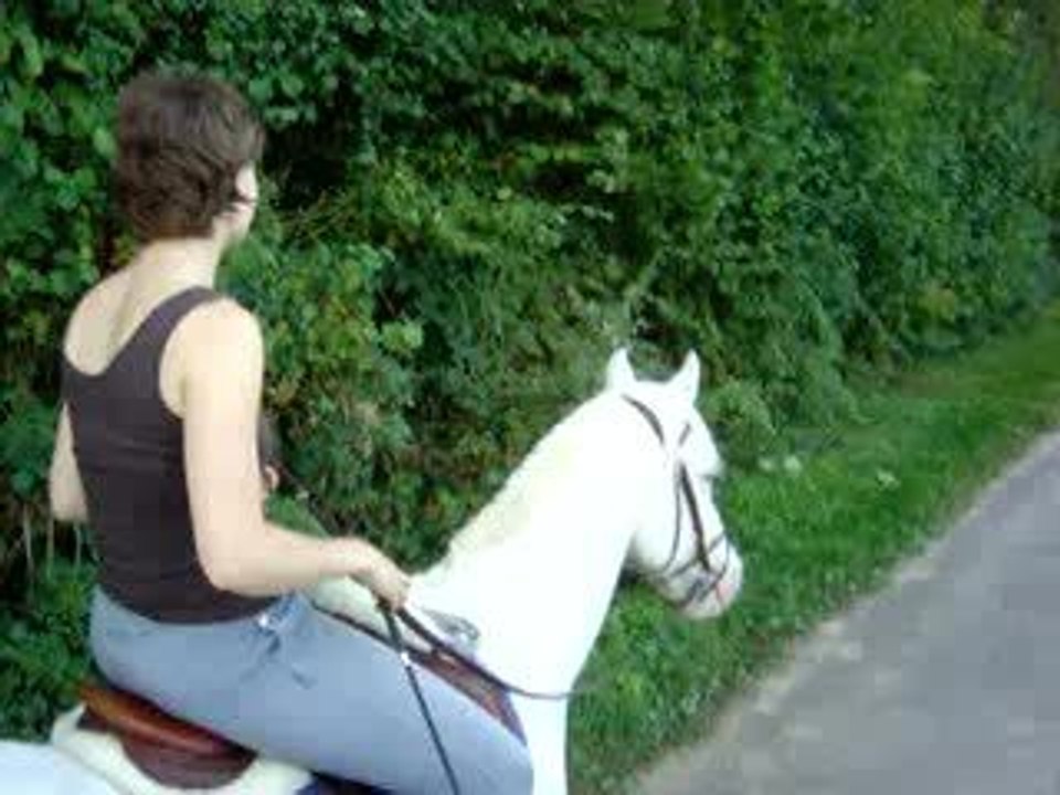 09.06 haras tour du haras yo1