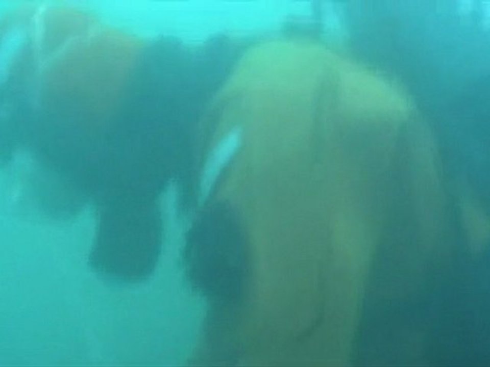 Japan - one year after the desaster | Journal Reporters