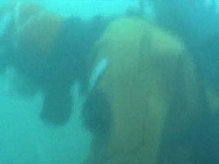 Japan - one year after the desaster | Journal Reporters