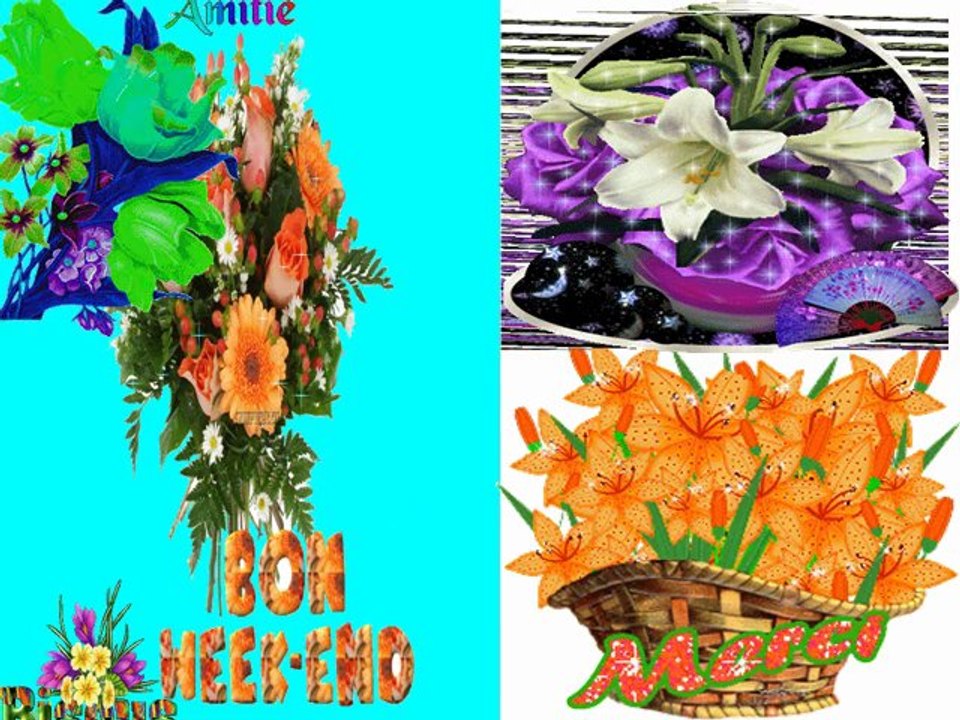 Bon week-end-03-10-14-24_wmv