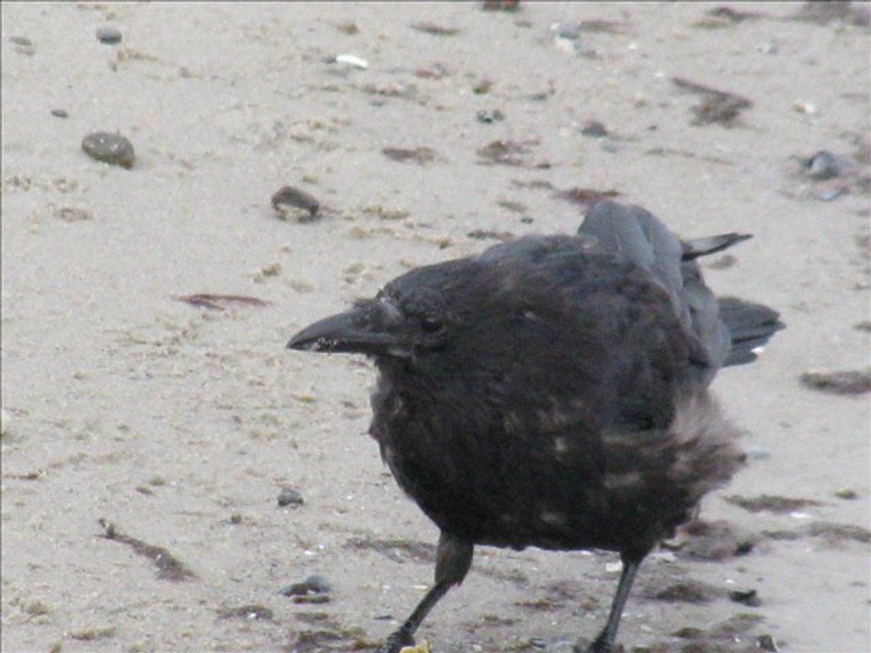 Ayrilik kolay degil onu gel sen bana sor...