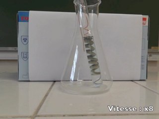 L'arbre de Diane - Magie et chimie