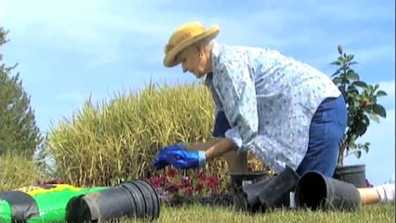 Fencing Contractors Tomago Olympic Fencing NSW Pty Ltd NSW