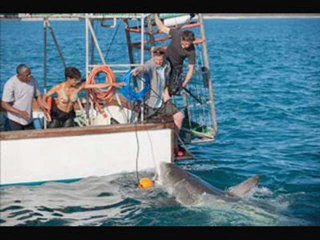 Dark Tide 2012 Part 1 of 16 Full Movie Free Trailers HD Movie