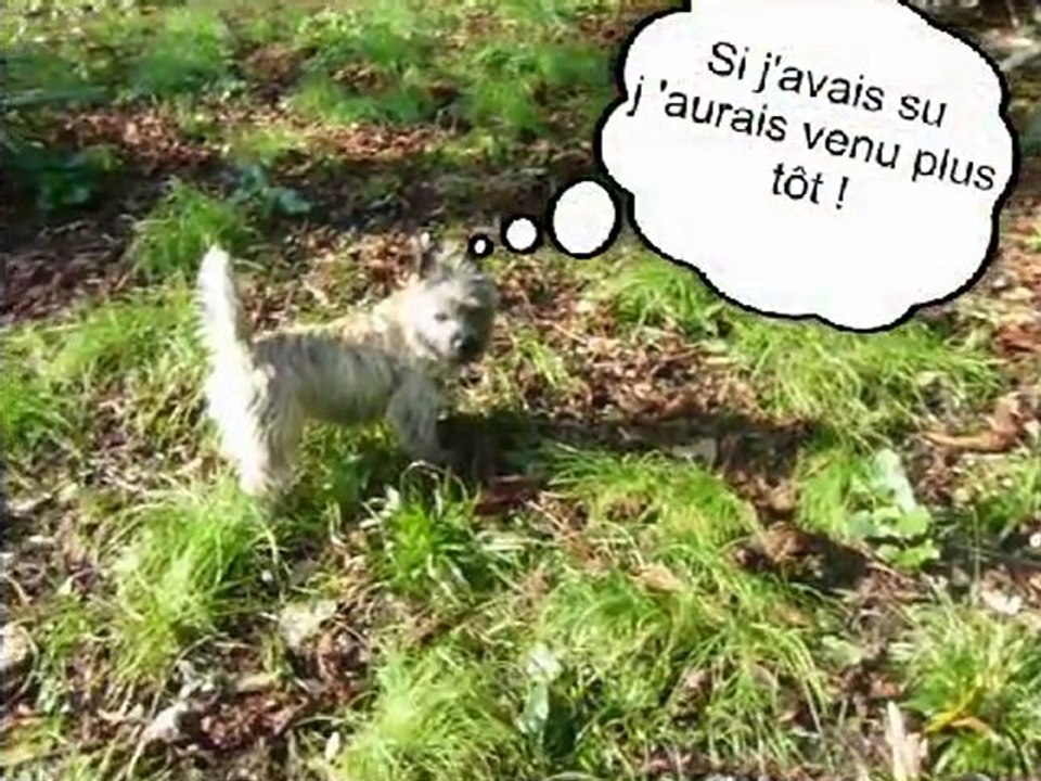 Vacances d'hiver à Canipôle