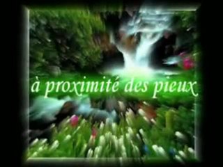 Islam,l'agonie la mort approche - Emouvant