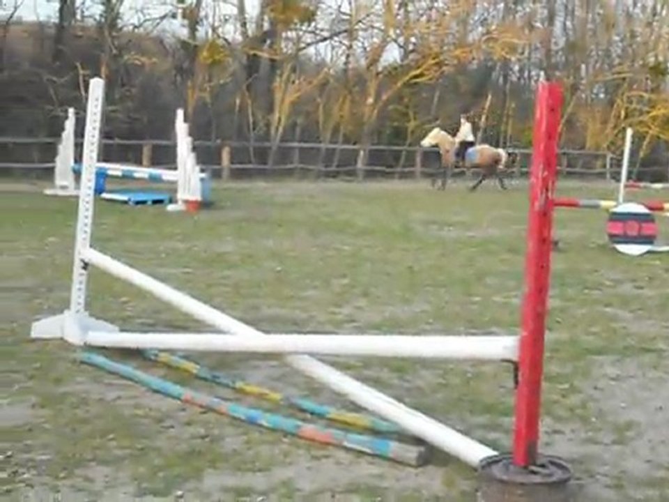 DSCN0181