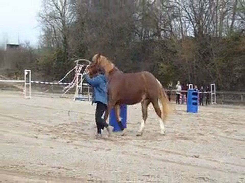 2012-03-11 Equifeel Sylvie trefle