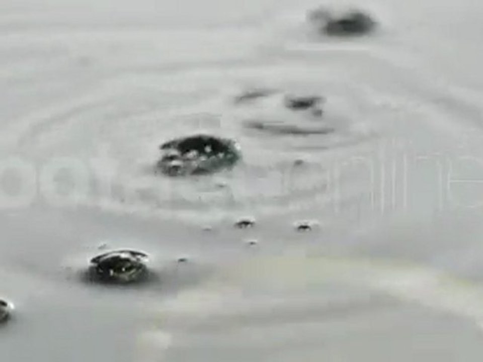 Slice of lemon falling into water  footage_008025_0