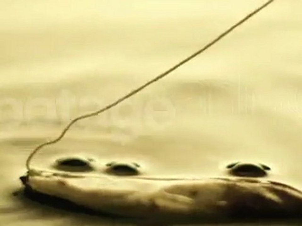 Teabag dip into water footage_008003_0