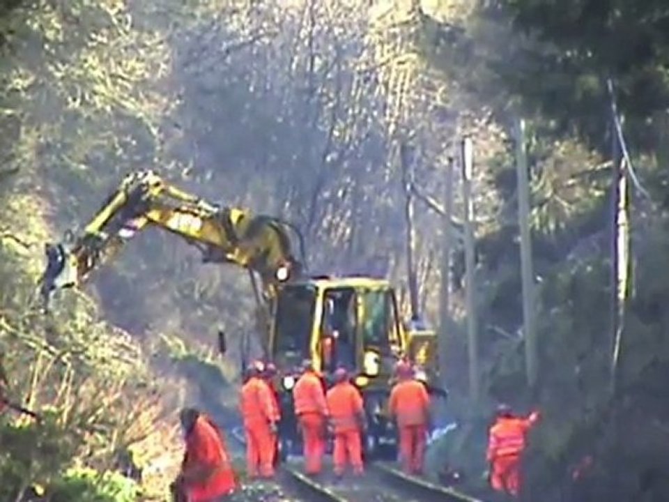 Aufräumungsarbeiten Eifelquerbahn nach Orkan Xynthia Teil 008