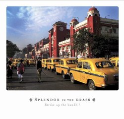 splendor in the grass - moviola