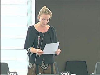 Marietje Schaake on imports of high-quality beef