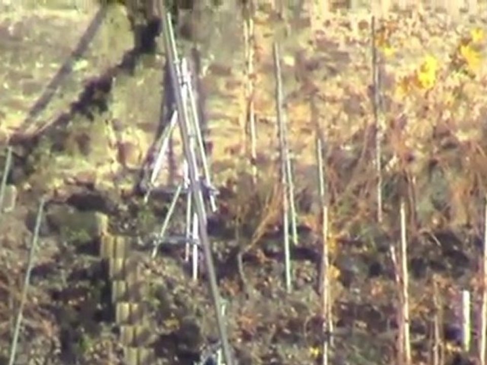 Winningen Dieblich Mosel, Weinbergbahn, SNCF Prima, BR203, BR185, 3x BR143